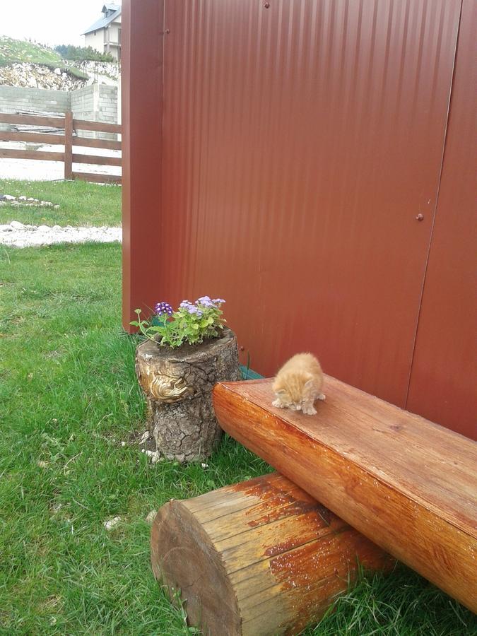Boskovica Brvnare Guest House Žabljak Екстериор снимка