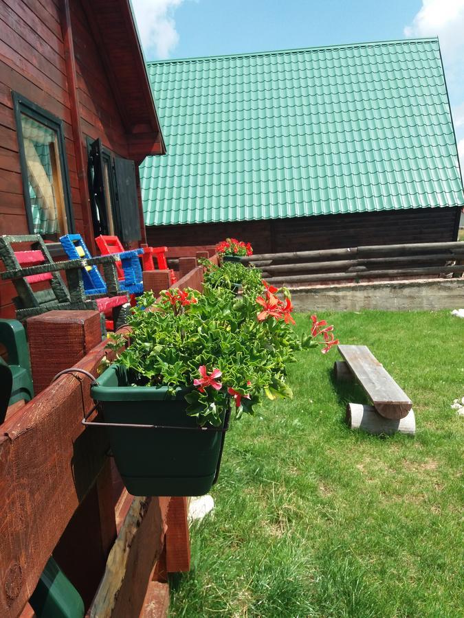 Boskovica Brvnare Guest House Žabljak Екстериор снимка